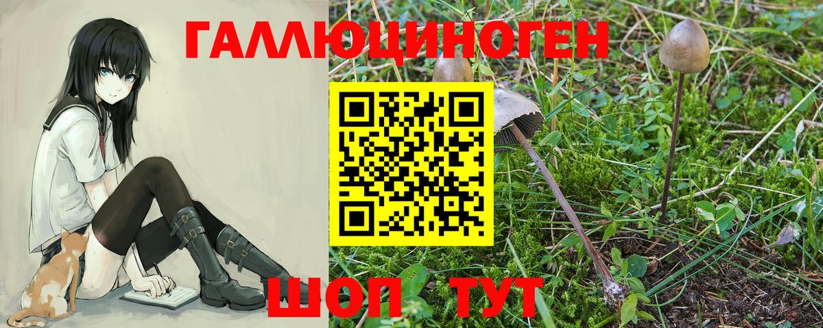 Галлюциногенные грибы прущие грибы Воркута