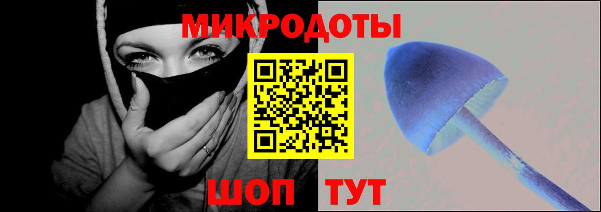 Псилоцибиновые грибы GOLDEN TEACHER  Псилоцибиновые грибы Magic Shrooms  Вход с VPN  Воркута 